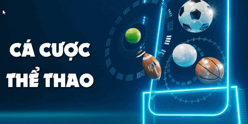 Sảnh thể thao 8XBET với nhiều kèo cược HOT